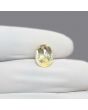 Ceylon Yellow Sapphire - 4.99 Carat