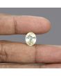 Ceylon Yellow Sapphire - 7.19 Carat 