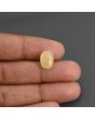 Yellow Sapphire - 6.64 Carat 