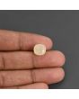 Yellow Sapphire - 6.55 Carat 