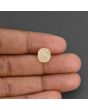 Yellow Sapphire - 6.55 Carat 