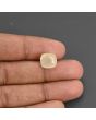 Yellow Sapphire - 6.54 Carat 