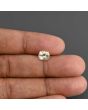 Ceylon Yellow Sapphire - 1.79 Carat 