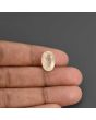 Yellow Sapphire (Pukhraj) - 9.55 Carat 
