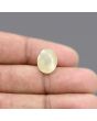 Ceylon Yellow Sapphire 9.11 Carat 