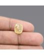 Ceylon Yellow Sapphire 8.5 Carat 