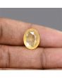 Ceylon Yellow Sapphire 9.09 Carat 
