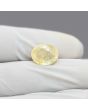 Ceylon Yellow Sapphire 5.64 Carat