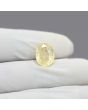 Ceylon Yellow Sapphire 5.64 Carat