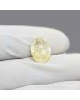 Ceylon Yellow Sapphire 5.64 Carat