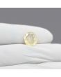 Ceylon Yellow Sapphire 3.54 Carat