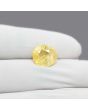 Ceylon Yellow Sapphire 6.75 Carat