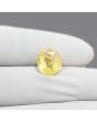 Ceylon Yellow Sapphire 6.75 Carat