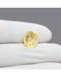 Ceylon Yellow Sapphire 6.75 Carat
