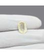 Ceylon Yellow Sapphire 4.55 Carat