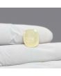 Ceylon Yellow Sapphire 9.51 Carat