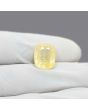 Ceylon Yellow Sapphire 9.25 Carat