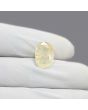 Ceylon Yellow Sapphire 6.33 Carat 