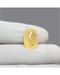 Ceylon Yellow Sapphire 11.61 Carat