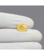 Ceylon Yellow Sapphire 5.95 Carat