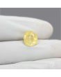 Ceylon Yellow Sapphire 5.37 Carat