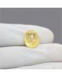 Ceylon Yellow Sapphire 8.33 Carat
