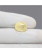 Ceylon Yellow Sapphire 7.65 Carat 