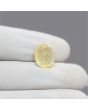 Ceylon Yellow Sapphire 7.65 Carat 