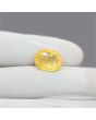 Ceylon Yellow Sapphire 6.39 Carat 