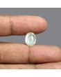 Yellow Sapphire (Pukhraj) - 4.82 Carat 