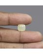 Yellow Sapphire (Pukhraj) - 6.48 Carat 