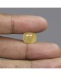 Yellow Sapphire (Pukhraj) - 7.7 Carat 