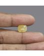 Yellow Sapphire (Pukhraj) - 7.7 Carat 