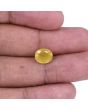 Yellow Sapphire - 4.57 Carat 