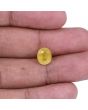 Yellow Sapphire - 4.49 Carat 