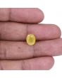 Yellow Sapphire - 4.95 Carat 