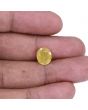 Yellow Sapphire - 4.04 Carat 