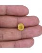 Yellow Sapphire - 4.26 Carat 