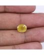 Yellow Sapphire - 4.73 Carat 