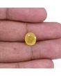 Yellow Sapphire - 4.32 Carat 