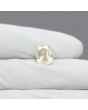 Pitambari Sapphire (Bi Colour) 5.35 Carat 