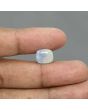 Pitambari Sapphire (Bi Colour) 7.6 Carat 