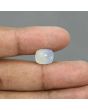 Pitambari Sapphire (Bi Colour) 7.6 Carat 