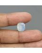 Pitambari Sapphire (Bi Colour) 6.81 Carat 