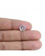 Pitambari Sapphire (Bi Colour) 3.18 Carat 