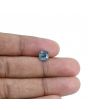 Pitambari Sapphire (Bi Colour) 1.92 Carat 