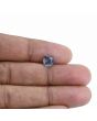 Pitambari Sapphire (Bi Colour) 1.92 Carat 