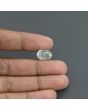 Pitambari Sapphire (Bi Colour) 8.38 Carat 