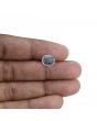 Pitambari Sapphire (Bi Colour) 6.02 Carat 