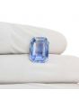 Bi-Colour Sapphire (Pitambari) 6.62 Carat
